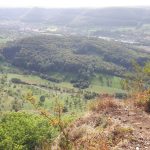 Blick ins obere Lenninger Tal