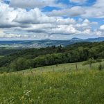 Blick auf die 3 Kaiserberge